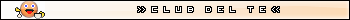 300x20 userbar