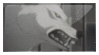 Wolf's Rain